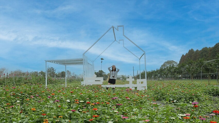 中部景點 ｜2023 蜀葵花海現身－巨型人偶+玩陶+嚕貓一起野餐吧!