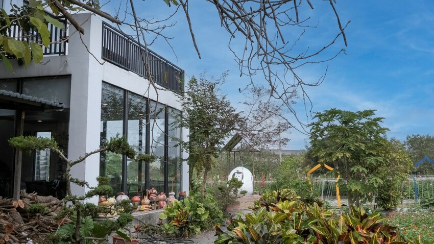 中部景點 ｜2023 蜀葵花海現身－巨型人偶+玩陶+嚕貓一起野餐吧!