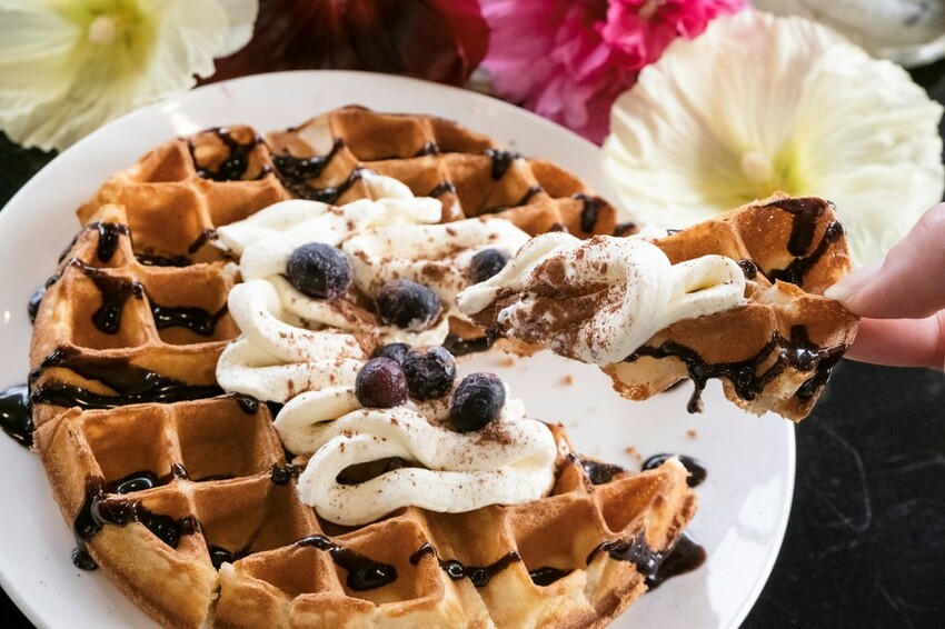 中部景點 ｜2023 蜀葵花海現身－巨型人偶+玩陶+嚕貓一起野餐吧!