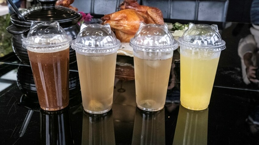 中部景點 ｜2023 蜀葵花海現身－巨型人偶+玩陶+嚕貓一起野餐吧!