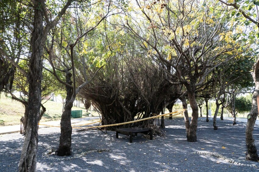 2023台中燈會-  《中央公園》盛大展開，2/4~12日盛大展開，6大主題燈區，逾30座燈組 超可愛啊!