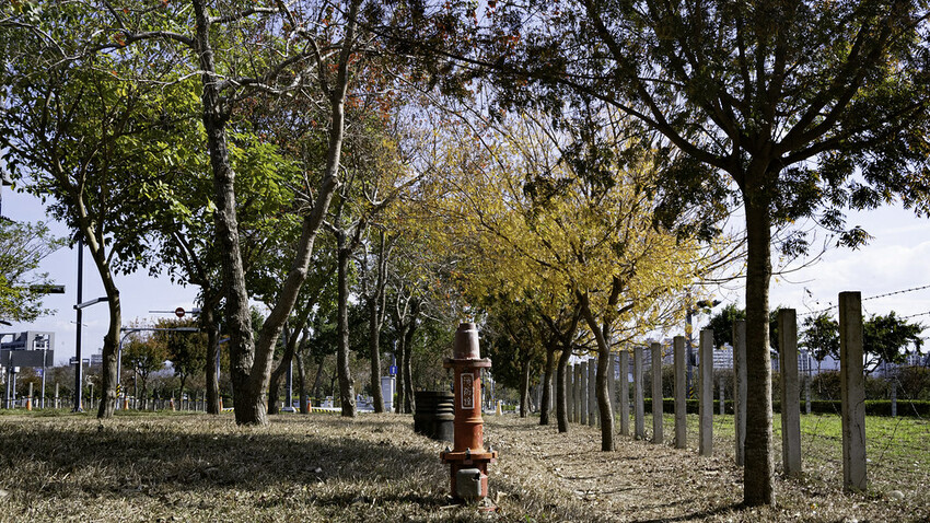 2023台中燈會-  《中央公園》盛大展開，2/4~12日盛大展開，6大主題燈區，逾30座燈組 超可愛啊!