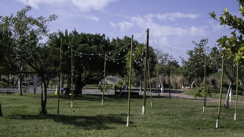 2023台中燈會-  《中央公園》盛大展開，2/4~12日盛大展開，6大主題燈區，逾30座燈組 超可愛啊!