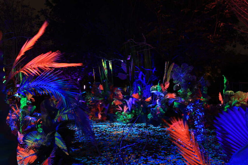 2023台中燈會-  《中央公園》盛大展開，2/4~12日盛大展開，6大主題燈區，逾30座燈組 超可愛啊!