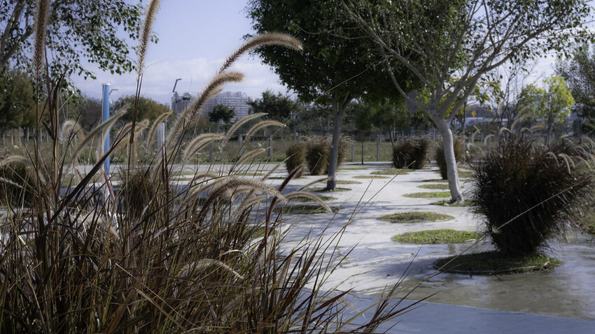 2023台中燈會-  《中央公園》盛大展開，2/4~12日盛大展開，6大主題燈區，逾30座燈組 超可愛啊!