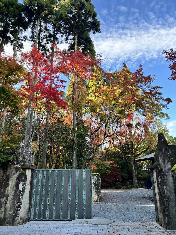 【亞洲，日本，京都】京都安縵Aman Kyoto下午茶，期待過高而失落感十足......（2022日本旅遊/疫情後的旅行/京都下午茶）