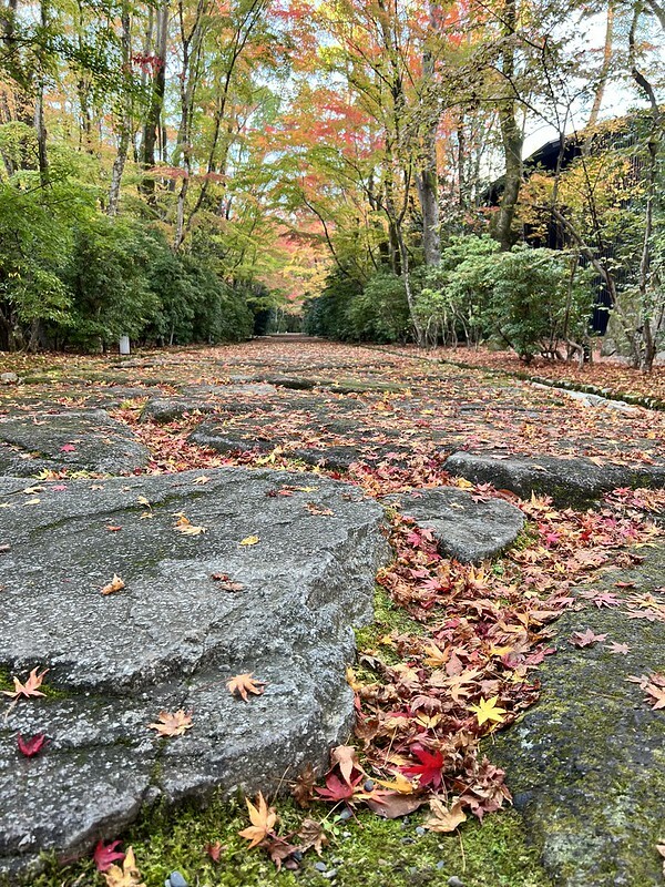 【亞洲，日本，京都】京都安縵Aman Kyoto下午茶，期待過高而失落感十足......（2022日本旅遊/疫情後的旅行/京都下午茶）