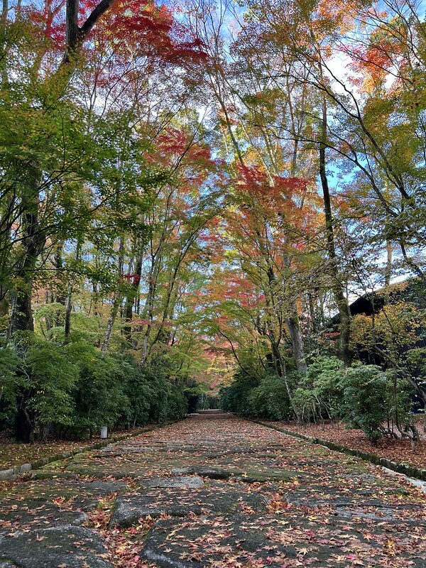 【亞洲，日本，京都】京都安縵Aman Kyoto下午茶，期待過高而失落感十足......（2022日本旅遊/疫情後的旅行/京都下午茶）