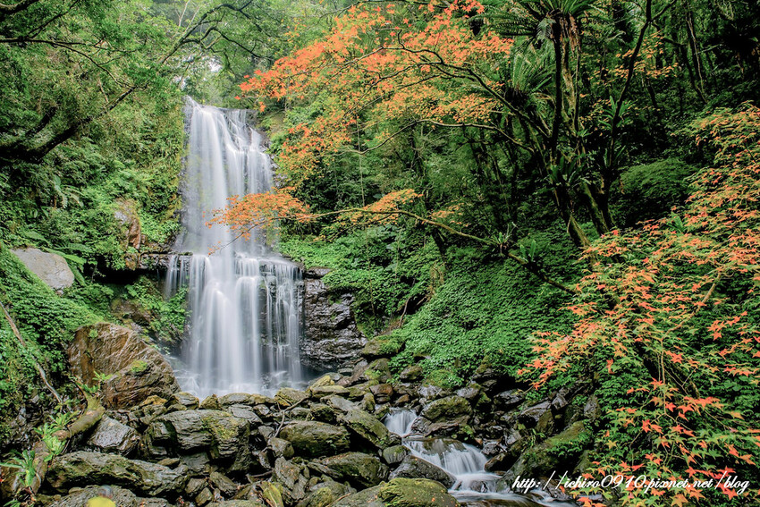 【新北景點】2023三峽雲森瀑布賞楓‧楓紅層層‧搭配絕美垂簾式瀑布│世外桃源美景│季節限定景色│怎麼去交通公