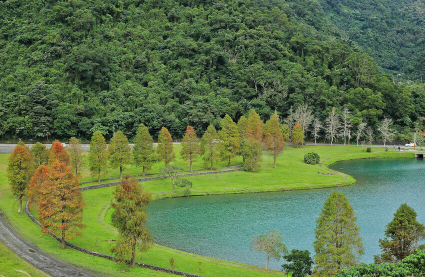 【宜蘭景點】2023員山福園蜊埤湖&羅東運動公園‧落羽松美景│全台10大落羽松秘境之一│礁溪天空島小木屋。金黃