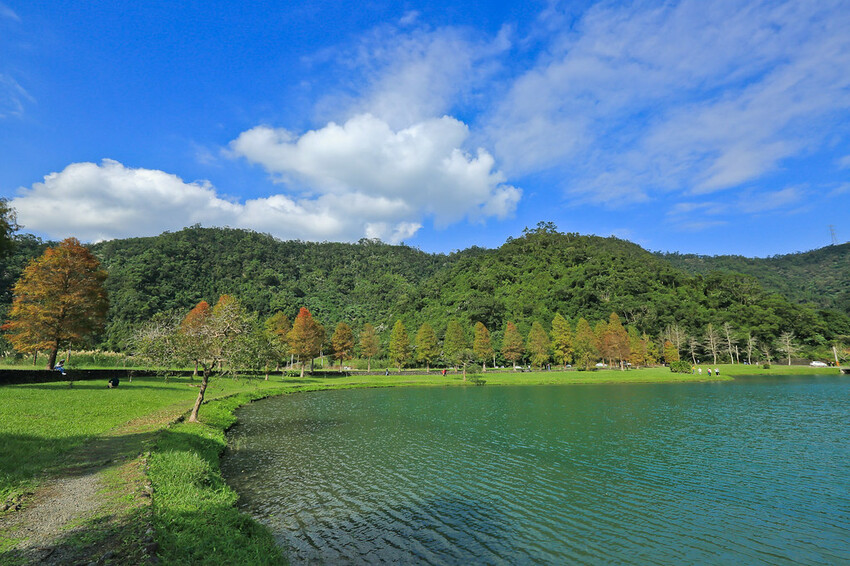 【宜蘭景點】2023員山福園蜊埤湖&羅東運動公園‧落羽松美景│全台10大落羽松秘境之一│礁溪天空島小木屋。金黃