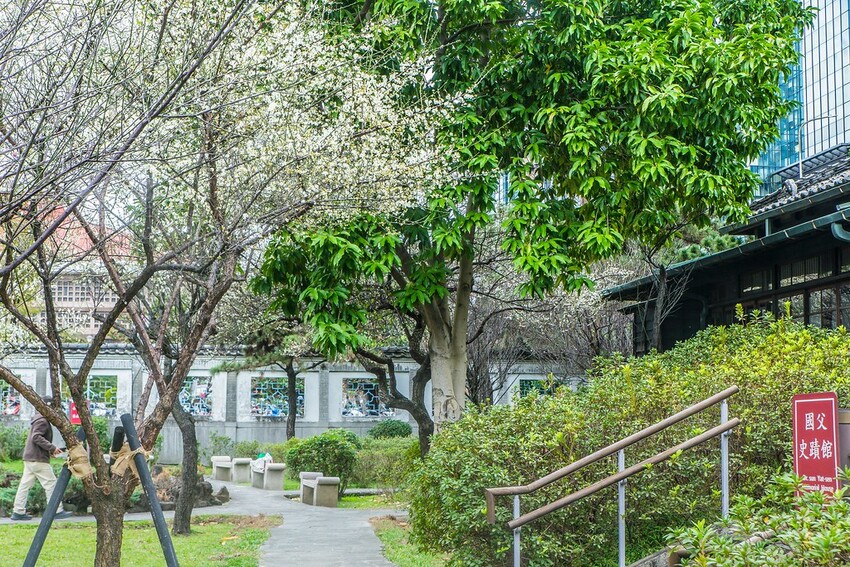 【梅花拍攝點】2023北部賞梅景點│桃園石門水庫‧士林志成公園‧榮星公園‧中正紀念堂‧逸仙公園│北部走春景點│