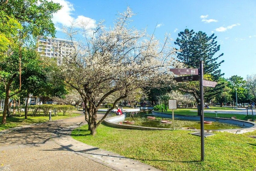 【梅花拍攝點】2023北部賞梅景點│桃園石門水庫‧士林志成公園‧榮星公園‧中正紀念堂‧逸仙公園│北部走春景點│