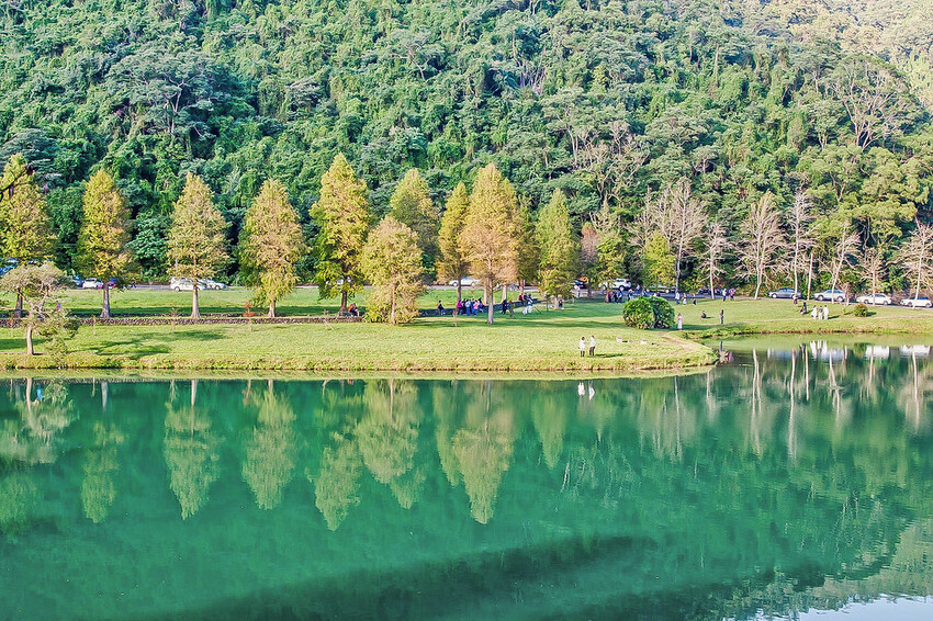 【宜蘭景點】2023員山福園蜊埤湖&羅東運動公園‧落羽松美景│全台10大落羽松秘境之一│礁溪天空島小木屋。金黃