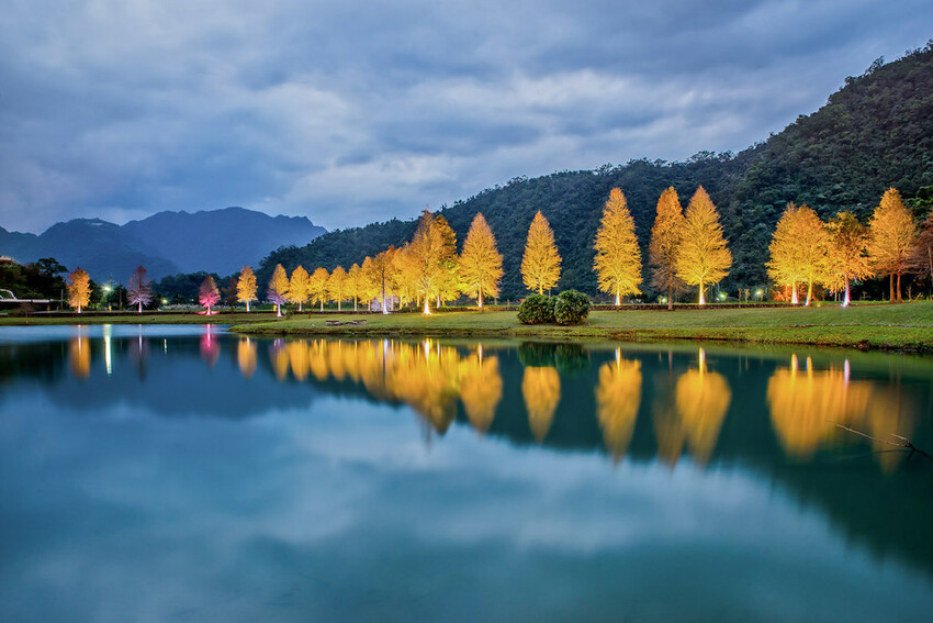 【宜蘭景點】2023員山福園蜊埤湖&羅東運動公園‧落羽松美景│全台10大落羽松秘境之一│礁溪天空島小木屋。金黃