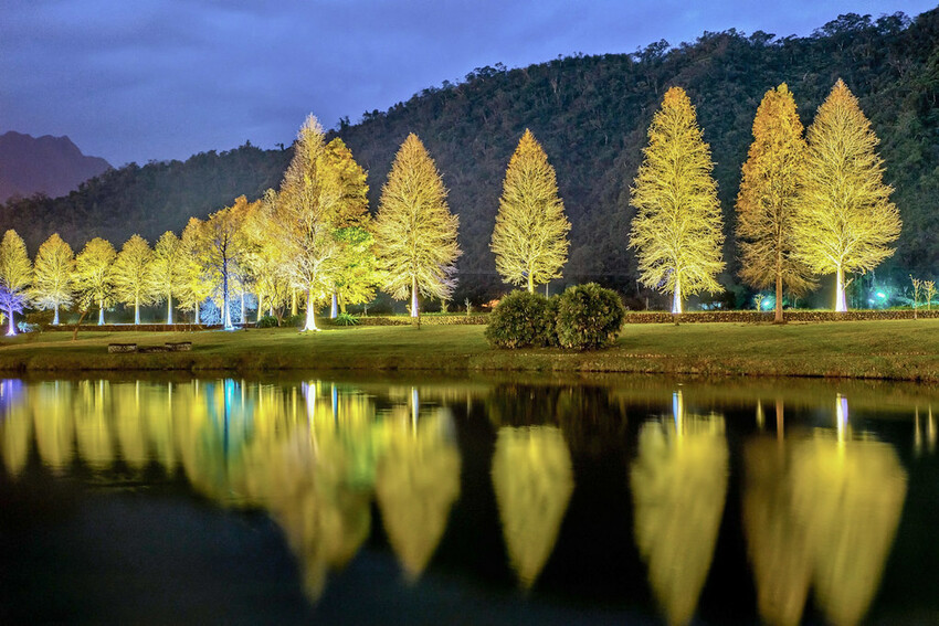 【宜蘭景點】2023員山福園蜊埤湖&羅東運動公園‧落羽松美景│全台10大落羽松秘境之一│礁溪天空島小木屋。金黃