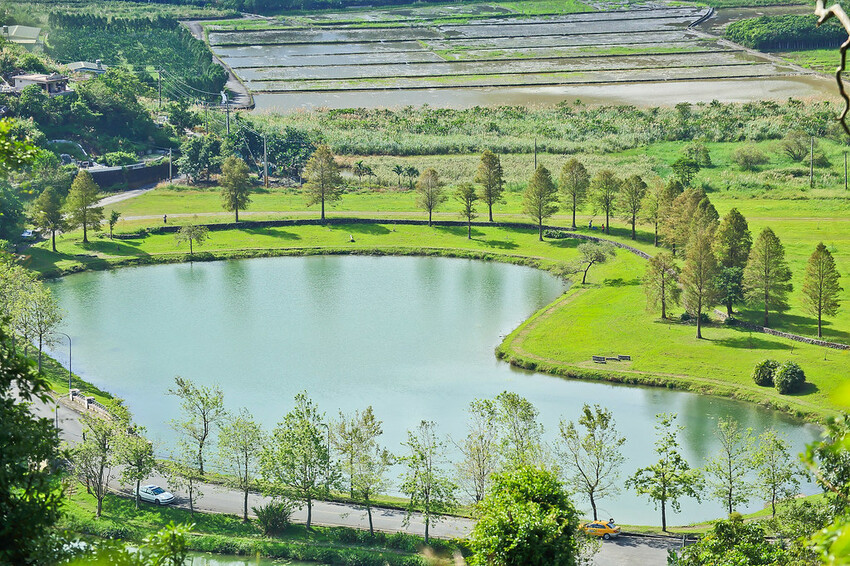 【宜蘭景點】2023員山福園蜊埤湖&羅東運動公園‧落羽松美景│全台10大落羽松秘境之一│礁溪天空島小木屋。金黃