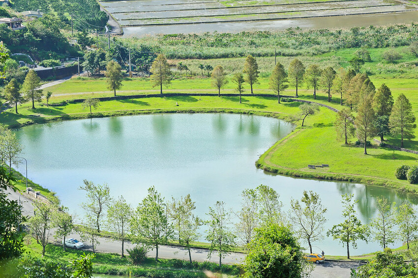 【宜蘭景點】2023員山福園蜊埤湖&羅東運動公園‧落羽松美景│全台10大落羽松秘境之一│礁溪天空島小木屋。金黃