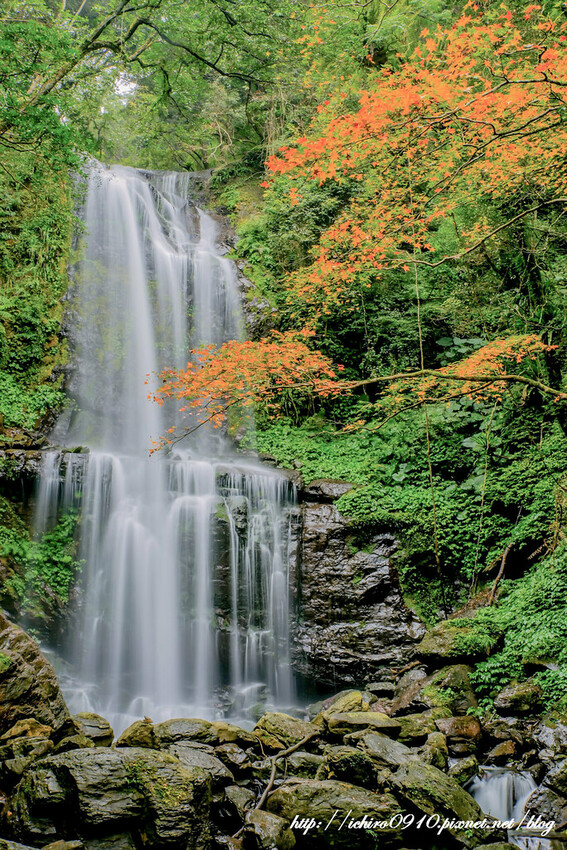 【新北景點】2023三峽雲森瀑布賞楓‧楓紅層層‧搭配絕美垂簾式瀑布│世外桃源美景│季節限定景色│怎麼去交通公