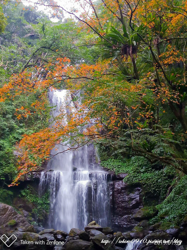 【新北景點】2023三峽雲森瀑布賞楓‧楓紅層層‧搭配絕美垂簾式瀑布│世外桃源美景│季節限定景色│怎麼去交通公