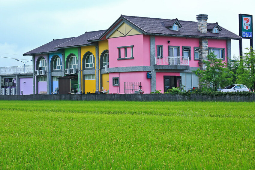【宜蘭景點】2023員山福園蜊埤湖&羅東運動公園‧落羽松美景│全台10大落羽松秘境之一│礁溪天空島小木屋。金黃