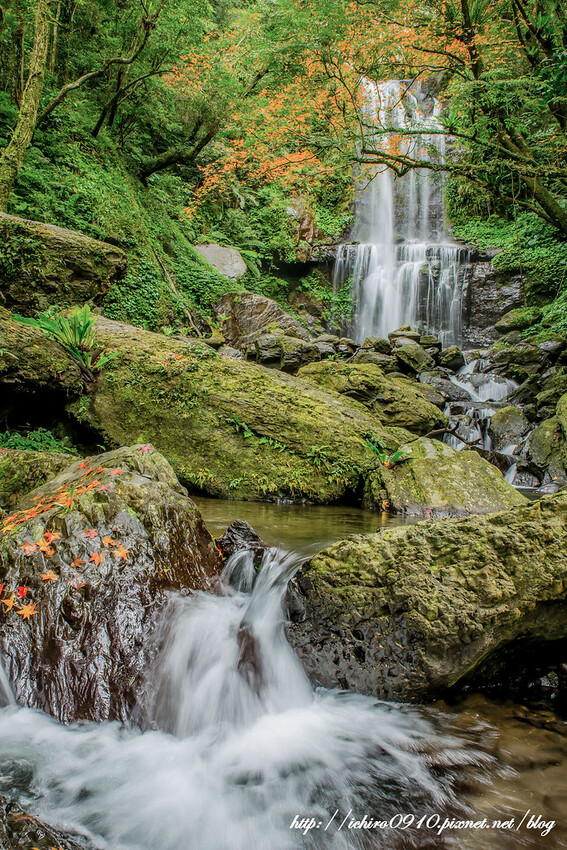 【新北景點】2023三峽雲森瀑布賞楓‧楓紅層層‧搭配絕美垂簾式瀑布│世外桃源美景│季節限定景色│怎麼去交通公