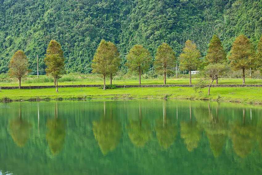 【宜蘭景點】2023員山福園蜊埤湖&羅東運動公園‧落羽松美景│全台10大落羽松秘境之一│礁溪天空島小木屋。金黃