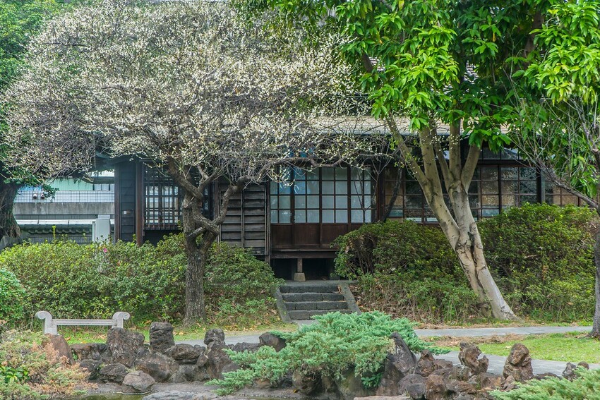 【梅花拍攝點】2023北部賞梅景點│桃園石門水庫‧士林志成公園‧榮星公園‧中正紀念堂‧逸仙公園│北部走春景點│