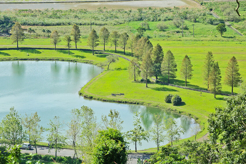 【宜蘭景點】2023員山福園蜊埤湖&羅東運動公園‧落羽松美景│全台10大落羽松秘境之一│礁溪天空島小木屋。金黃