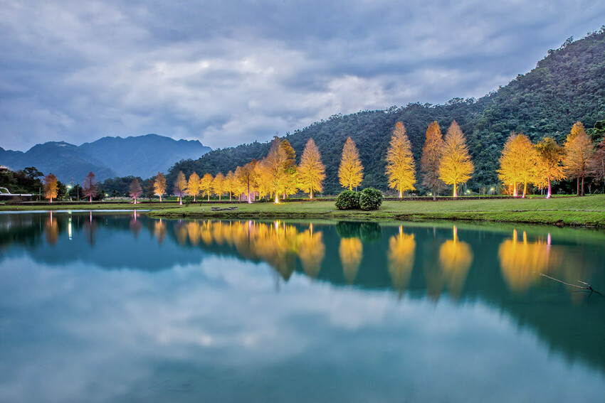 【宜蘭景點】2023員山福園蜊埤湖&羅東運動公園‧落羽松美景│全台10大落羽松秘境之一│礁溪天空島小木屋。金黃