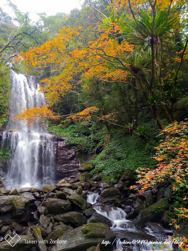 【新北景點】2023三峽雲森瀑布賞楓‧楓紅層層‧搭配絕美垂簾式瀑布│世外桃源美景│季節限定景色│怎麼去交通公