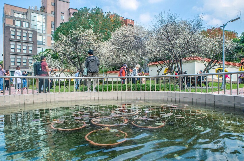 【梅花拍攝點】2023北部賞梅景點│桃園石門水庫‧士林志成公園‧榮星公園‧中正紀念堂‧逸仙公園│北部走春景點│