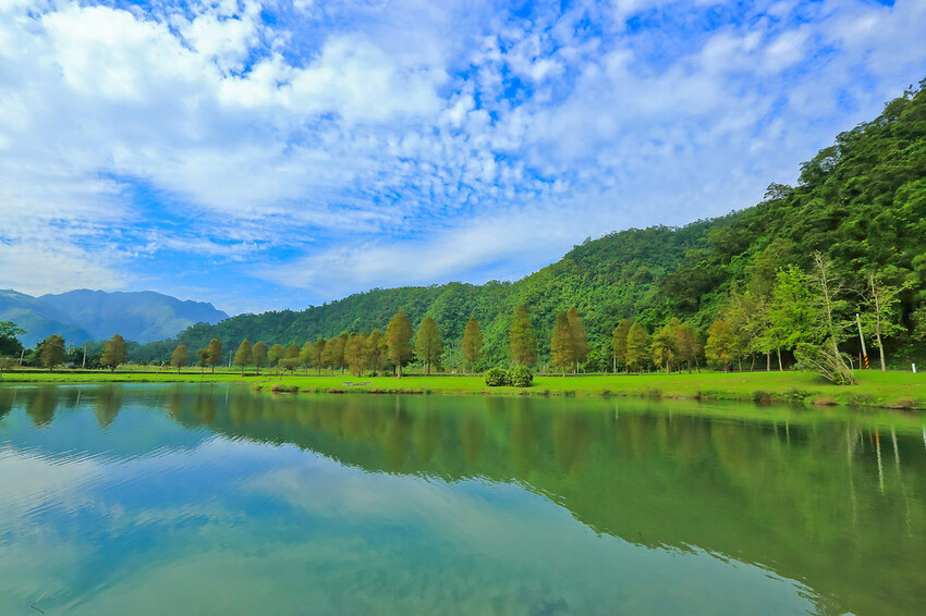 【宜蘭景點】2023員山福園蜊埤湖&羅東運動公園‧落羽松美景│全台10大落羽松秘境之一│礁溪天空島小木屋。金黃