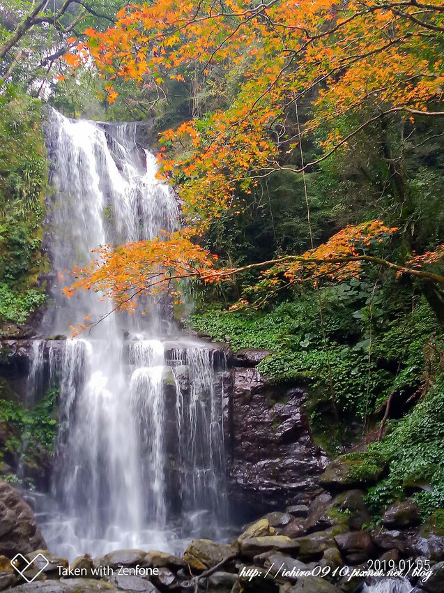 【新北景點】2023三峽雲森瀑布賞楓‧楓紅層層‧搭配絕美垂簾式瀑布│世外桃源美景│季節限定景色│怎麼去交通公