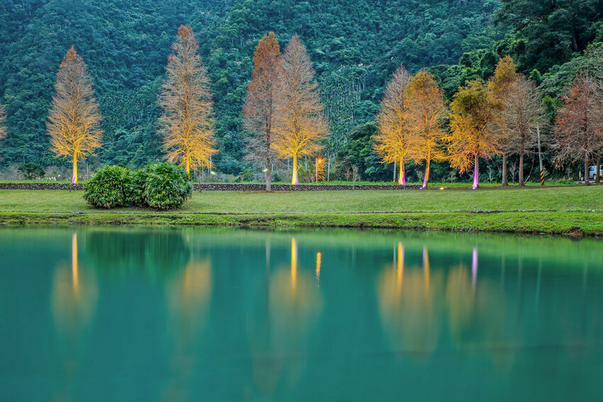 【宜蘭景點】2023員山福園蜊埤湖&羅東運動公園‧落羽松美景│全台10大落羽松秘境之一│礁溪天空島小木屋。金黃