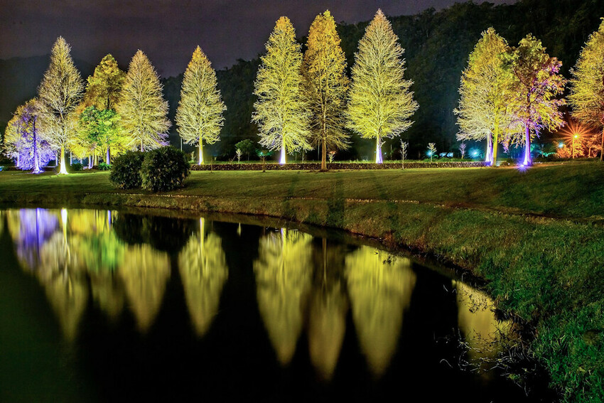 【宜蘭景點】2023員山福園蜊埤湖&羅東運動公園‧落羽松美景│全台10大落羽松秘境之一│礁溪天空島小木屋。金黃