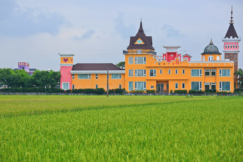【宜蘭景點】2023員山福園蜊埤湖&羅東運動公園‧落羽松美景│全台10大落羽松秘境之一│礁溪天空島小木屋。金黃