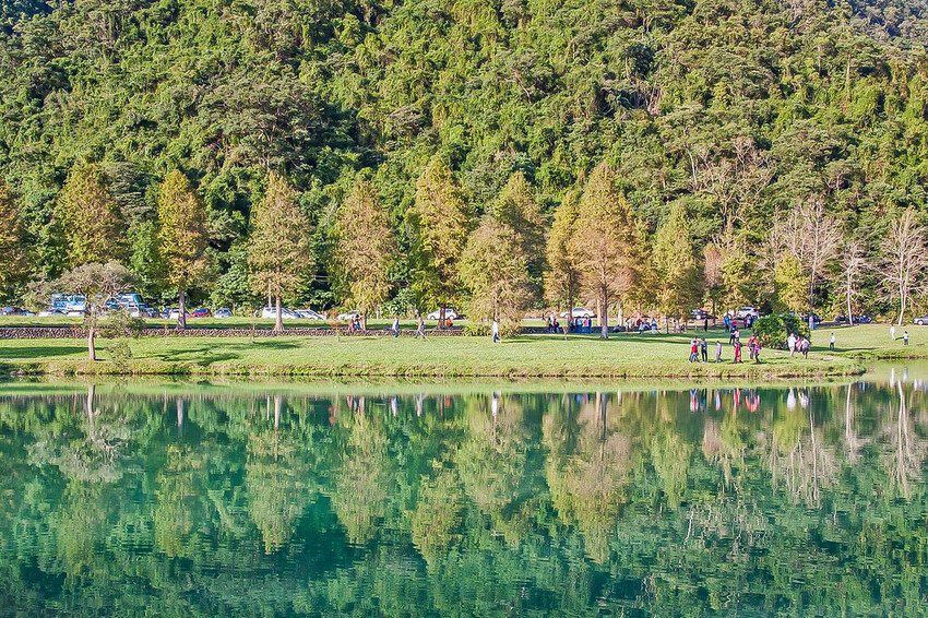 【宜蘭景點】2023員山福園蜊埤湖&羅東運動公園‧落羽松美景│全台10大落羽松秘境之一│礁溪天空島小木屋。金黃