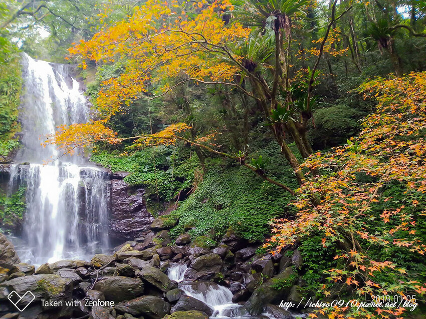 【新北景點】2023三峽雲森瀑布賞楓‧楓紅層層‧搭配絕美垂簾式瀑布│世外桃源美景│季節限定景色│怎麼去交通公