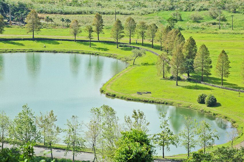 【宜蘭景點】2023員山福園蜊埤湖&羅東運動公園‧落羽松美景│全台10大落羽松秘境之一│礁溪天空島小木屋。金黃