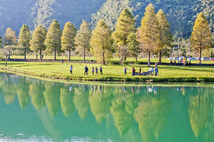 【宜蘭景點】2023員山福園蜊埤湖&羅東運動公園‧落羽松美景│全台10大落羽松秘境之一│礁溪天空島小木屋。金黃