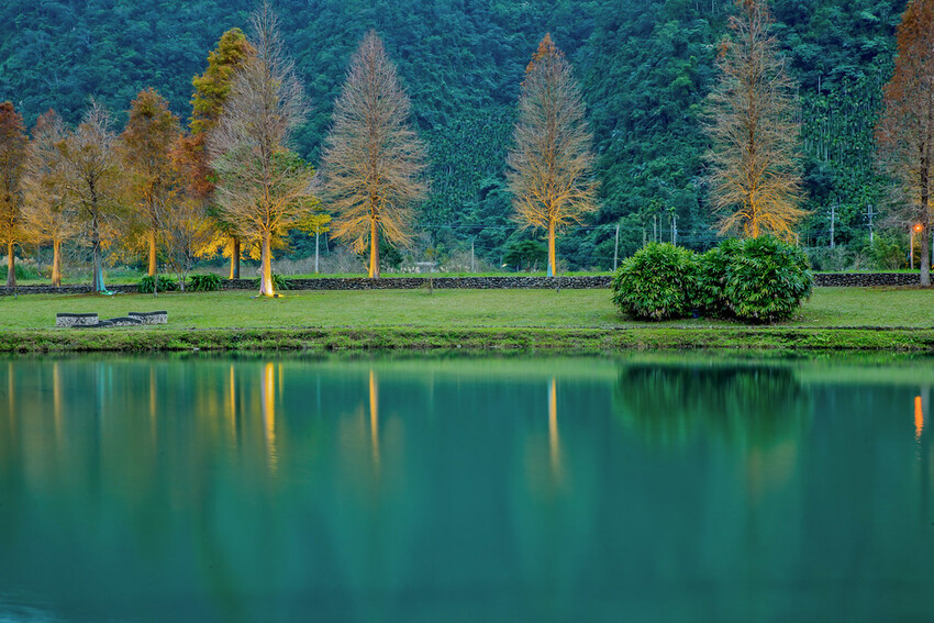 【宜蘭景點】2023員山福園蜊埤湖&羅東運動公園‧落羽松美景│全台10大落羽松秘境之一│礁溪天空島小木屋。金黃