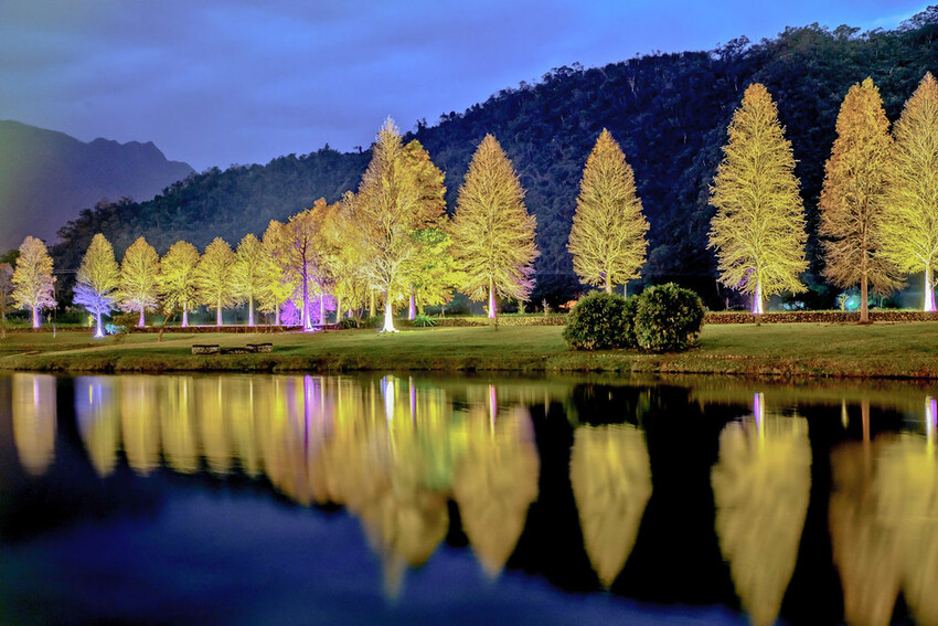 【宜蘭景點】2023員山福園蜊埤湖&羅東運動公園‧落羽松美景│全台10大落羽松秘境之一│礁溪天空島小木屋。金黃