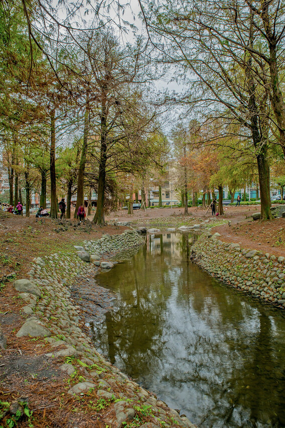 【宜蘭景點】2023員山福園蜊埤湖&羅東運動公園‧落羽松美景│全台10大落羽松秘境之一│礁溪天空島小木屋。金黃
