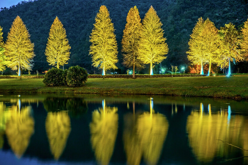 【宜蘭景點】2023員山福園蜊埤湖&羅東運動公園‧落羽松美景│全台10大落羽松秘境之一│礁溪天空島小木屋。金黃