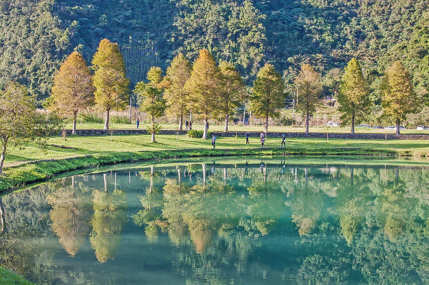 【宜蘭景點】2023員山福園蜊埤湖&羅東運動公園‧落羽松美景│全台10大落羽松秘境之一│礁溪天空島小木屋。金黃