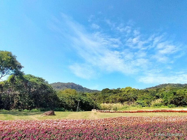 「北投社三層崎花海公園」(Ki-Pataw Shan-Tseng-Chi Park)與北投公園，SJKen , Taipei, Taiwan, Jan 23, 2023.