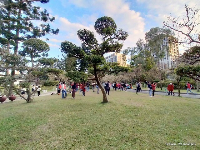 2023正月初一「中正紀念堂」走春賞梅 (Plum blossoms at CKS Memorial Hall), Taipei, Taiwan, SJKen, Jan 23, 2023