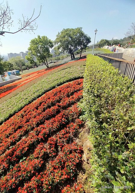 「北投社三層崎花海公園」(Ki-Pataw Shan-Tseng-Chi Park)與北投公園，SJKen , Taipei, Taiwan, Jan 23, 2023.