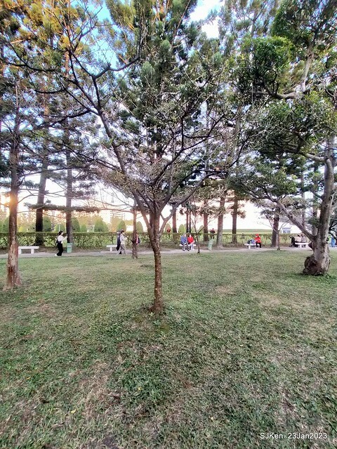 2023正月初一「中正紀念堂」走春賞梅 (Plum blossoms at CKS Memorial Hall), Taipei, Taiwan, SJKen, Jan 23, 2023